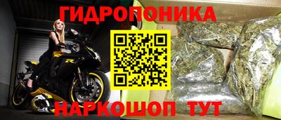 бошки Кинель